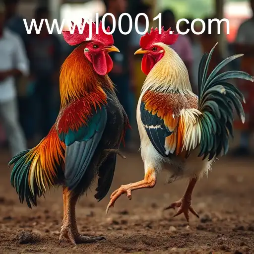 Cockfighting: An Ancient Tradition in the Modern World